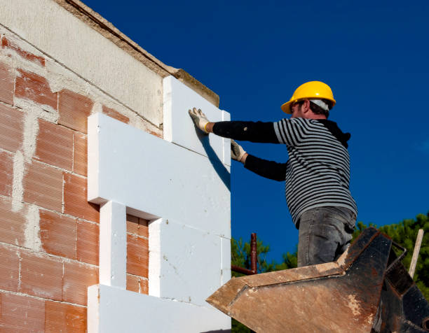 Best Insulation Installation Services in Princess Anne, MD